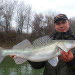 Pergető horgászat a Tisza-tavon és a Környező Tisza szakaszokon